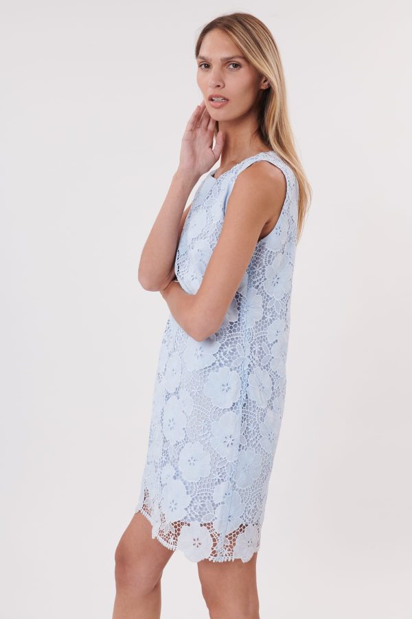 Robe courte droite unie en dentelle florale SAFRAN - Image 3