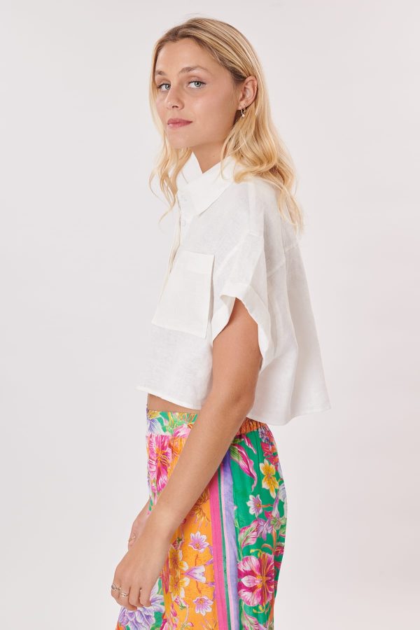 Chemise courtes safari manches courtes OLYMPE - Image 7